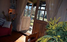Gite foret landaise